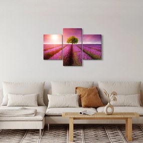Obraz poľa s levanduľami (90x60 cm)