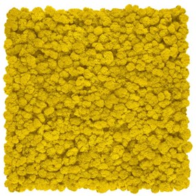 Stabilizovaný fínsky (sobí) mach 1kg- žltý