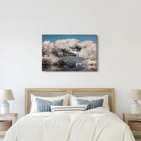 Obraz - Rozkvitnuté stromy v Ázii (90x60 cm)