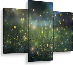 Obraz - Čarovná noc (90x60 cm)