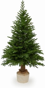 Smrek Prestige na pni 100% 3D- 210cm