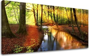 Obraz na stenu PANORÁMA STROMY ST032E13