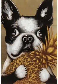 Dog with Pineapple obraz viacfarebný