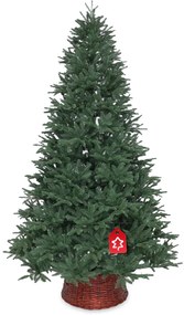 Jedľa Sibírska 100% 210 cm