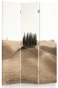 Gario Paraván Toscana Rozmery: 110 x 170 cm, Prevedenie: Klasický paraván