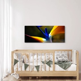 Obraz - Exotický kvet (120x50 cm)