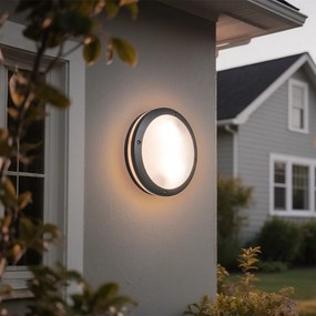 Nástenné a stropné svietidlo tmavosivé 2-svetlá IP54 - Glow