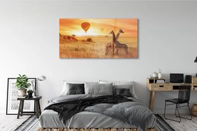 Obraz plexi Balóny neba žirafa 140x70 cm