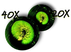 Navir – prenosný mikroskop s osvetlením – mix farieb