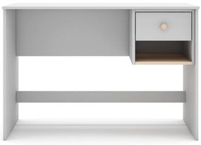 Detský písací stôl 55x110 cm Esteban – Marckeric