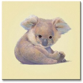 Art Group Obraz na plátne Koala Butler John Rozmery: 40 x 40 cm