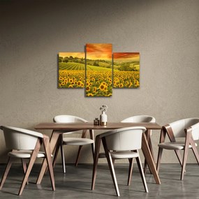 Obraz - Slnečnicové pole (90x60 cm)