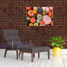 Obraz - Tekvica (70x50 cm)