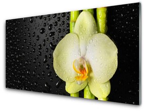 Sklenený obklad Do kuchyne Bambus kvet orchidea 120x60 cm
