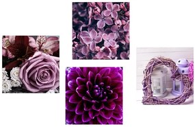 Set obrazov fialové kvety so srdiečkom