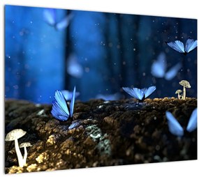 Obraz modrých motýľov (70x50 cm)