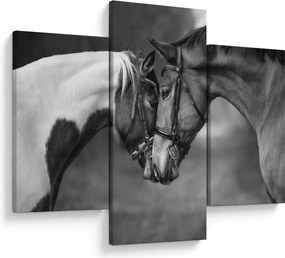 Obraz - Zamilované kone, čiernobiela (90x60 cm)