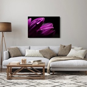 Obraz - Kvapka vody (90x60 cm)
