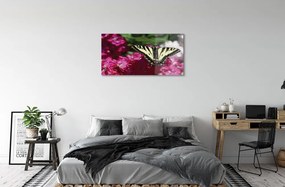 Sklenený obraz kvety motýľ 120x60 cm