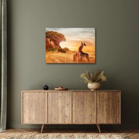 Obraz - Žirafy v Afrike (70x50 cm)