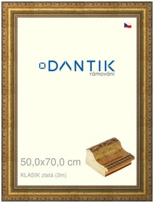 DANTIK rám na obraz 50x70 | KLASIK zlatá (Plexi Čiré)