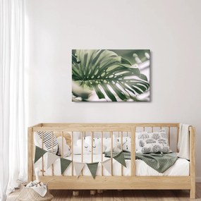 Obraz - List monštier (90x60 cm)