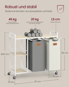 Kôš na bielizeň BLH311G01