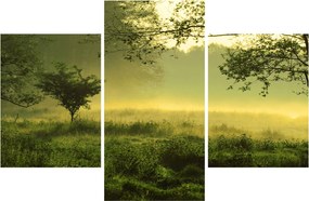 Obraz - Prebúdzajúci sa les (90x60 cm)