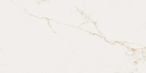 Dlažba Finezza Oro Pulido 60x120 R