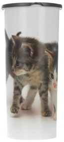 Úložný box Kitten, 25,5x12x25,5 cm, biela