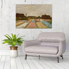 Obraz - Vincent van Gogh, Flower Beds in Holland, reprodukcia (90x60 cm)