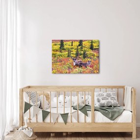 Obraz - Karibu na Aljaške (70x50 cm)