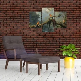 Obraz - Tropický les (90x60 cm)