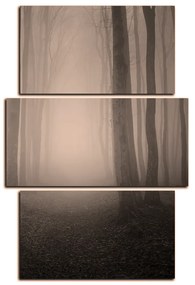 Obraz na plátne - Hmla v lese - obdĺžnik 7182FC (120x80 cm)