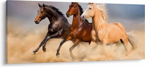 Obraz - Divé kone (120x50 cm)