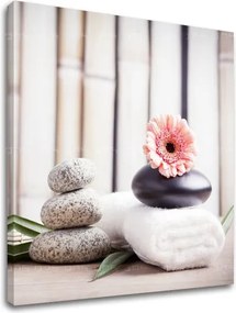 Obraz na plátne FENG SHUI_053-12