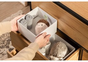 Kartónové organizéry do zásuvky v súprave 2 ks – Bigso Box of Sweden