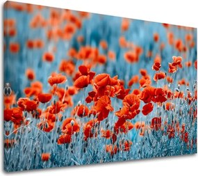 Obraz na stenu ČERVENÉ KVETY_159-11