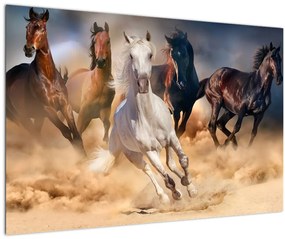 Obraz - Kone v púšti (90x60 cm)