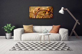 Obraz na plátne Vážka príroda rastlina 140x70 cm