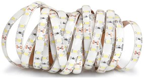 ECOLIGHT LED pásik - SMD 5630 - 5m - 60LED/m - 18W/m - IP65 - studená biela