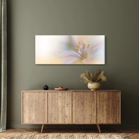 Obraz - Jemný kvet (120x50 cm)