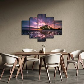 Obraz stromu na pláži (150x105 cm)