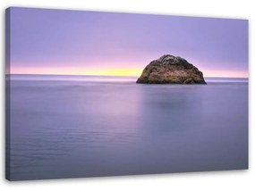 Obraz na plátně Sukně na moři Fialová - 120x80 cm