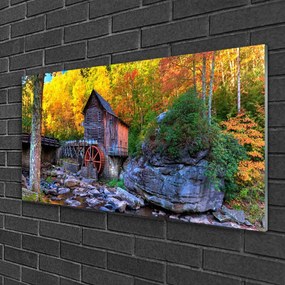Skleneny obraz Vodné mlyn jesenné les 100x50 cm