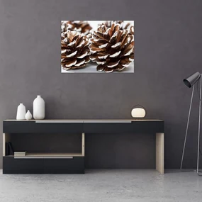 Obraz - Šišky (70x50 cm)