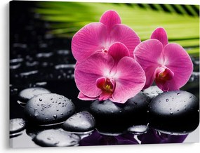Obraz - Ružové orchidey s palmovým listom (70x50 cm)