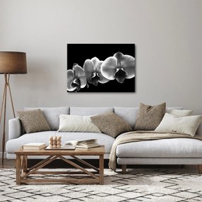 Obraz kvetu orchidey (70x50 cm)
