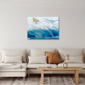 Obraz - Polárny medveď (70x50 cm)