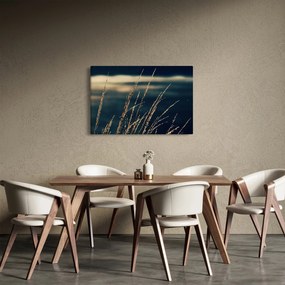Obraz tráv (90x60 cm)